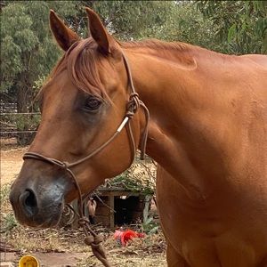 Meet your Posher, Leisa